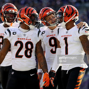 Meet your Posher, Noah